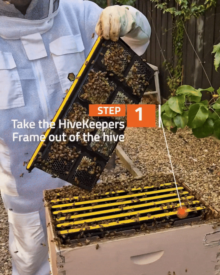 Step1.jpg