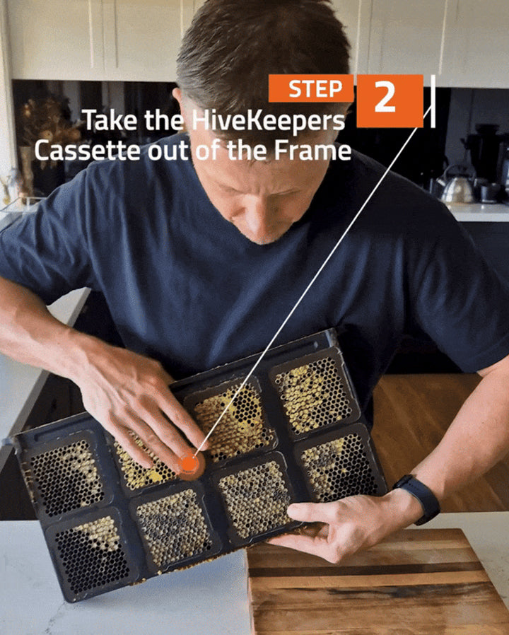 Step2.jpg