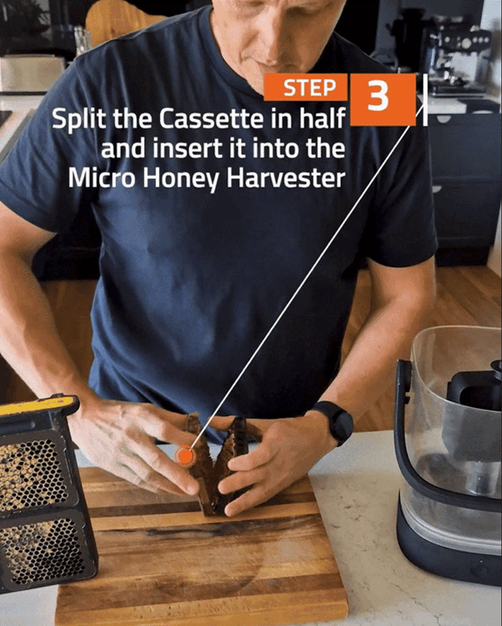 Step3.jpg