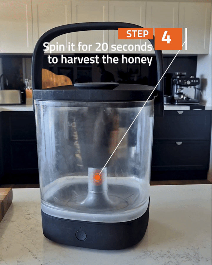 Step4.jpg