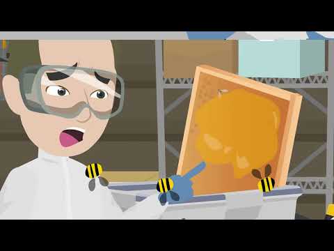 Harvester Starter Kit with 4 frames (AU)