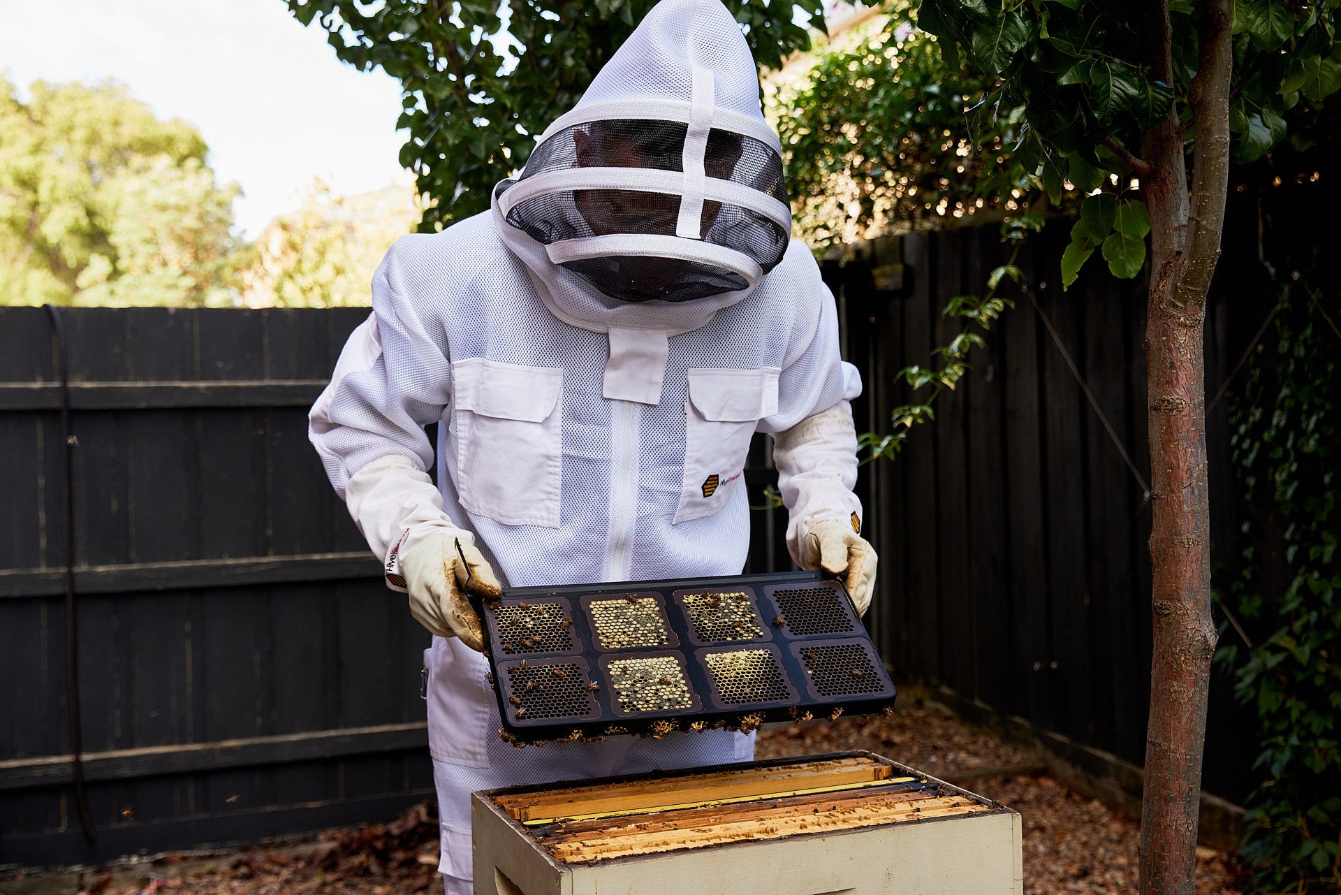 The Impact of Weather and Climate on Bees and Honey Production