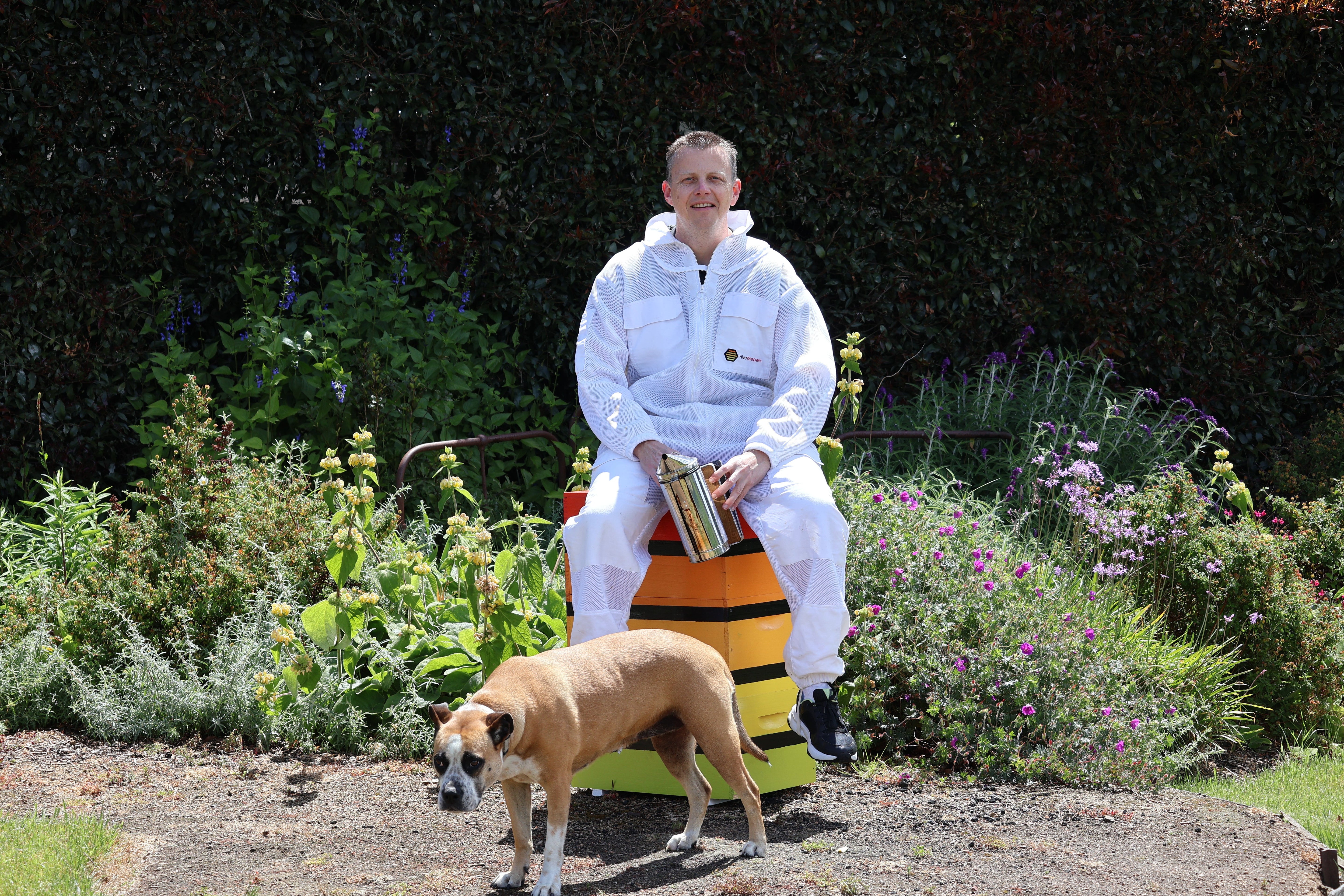 Creating a Bee-Friendly Environment: A Practical Guide for Gardeners and Homeowners