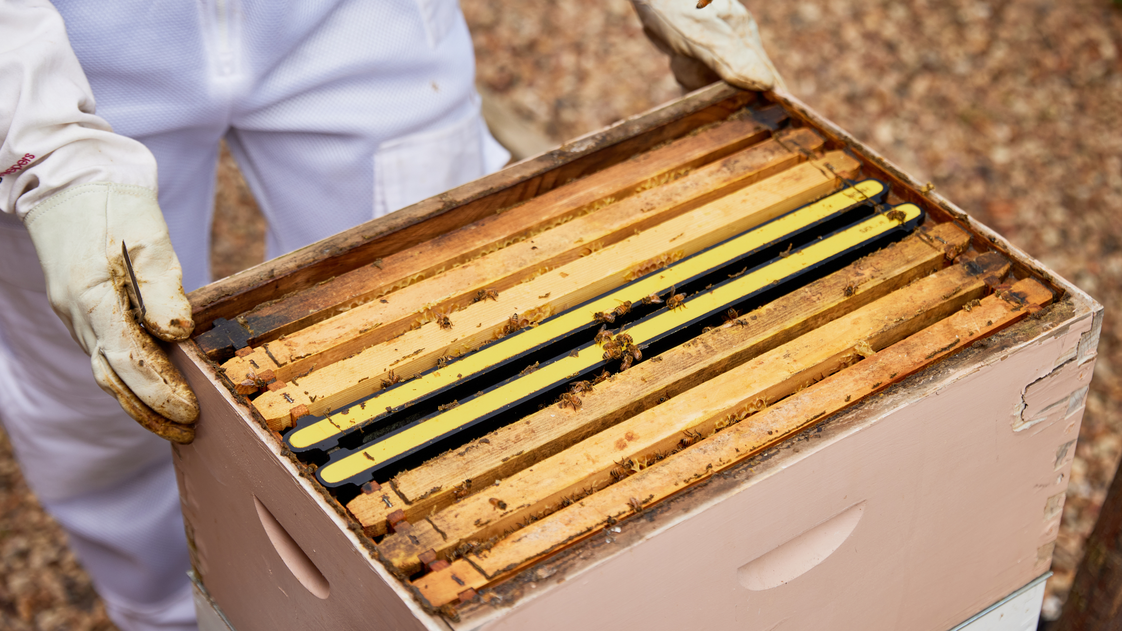 Horizontal_Format_Image_65e05b83-a03f-4705-81e7-b394250eedce.png