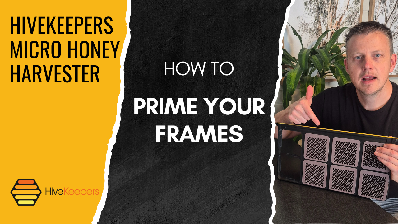 Load video: How to Prime HiveKeepers Frames